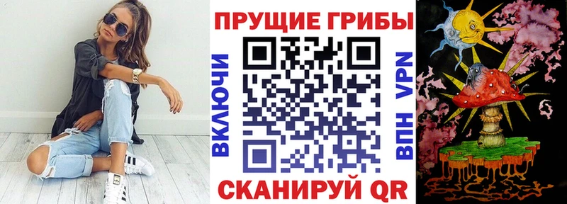 ссылка на мегу tor  Хилок  Галлюциногенные грибы прущие грибы  даркнет сайт 